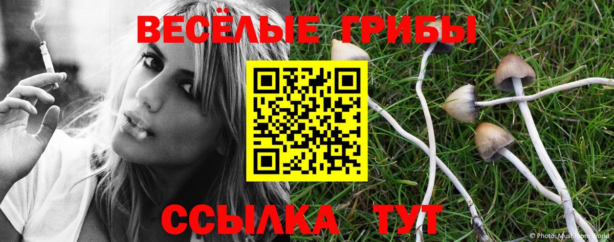 Галлюциногенные грибы мухоморы  Галлюциногенные грибы MAGIC MUSHROOMS  Североморск  Вход с VPN 